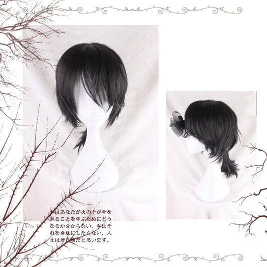 "BLACK PONYTAIL" WIG D041620